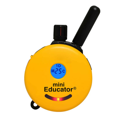 E-Collar Remote Holder - Screw to Wall