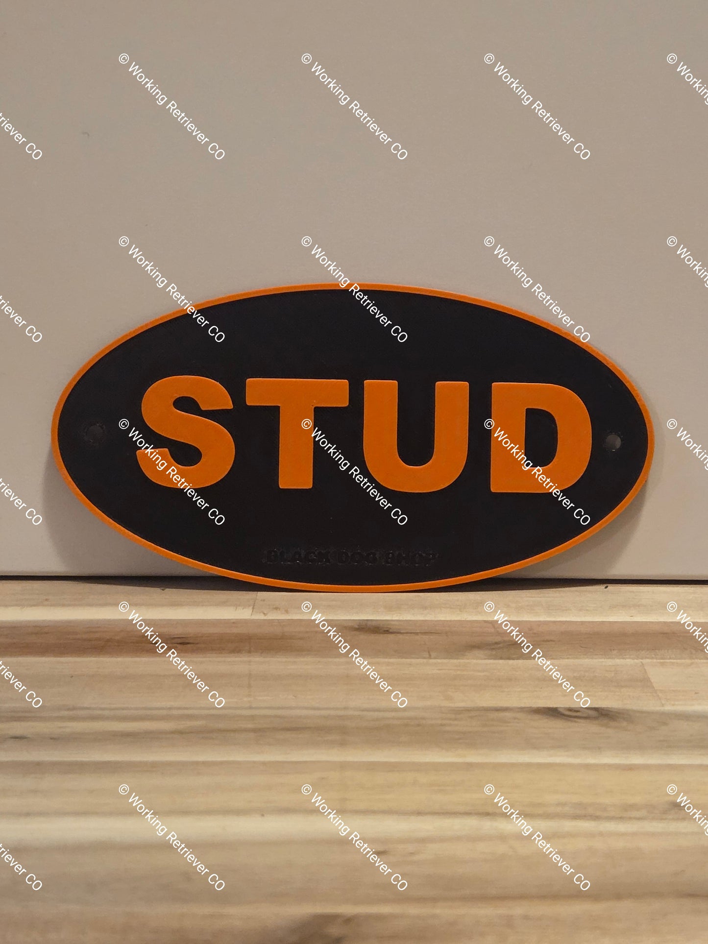 Lucky Duck Logo Tag