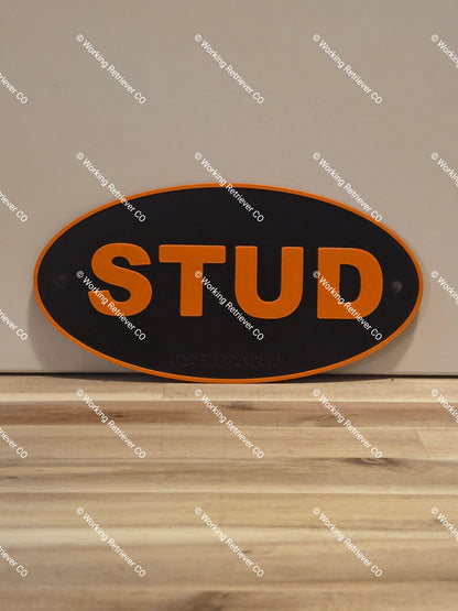 Lucky Duck Logo Tag
